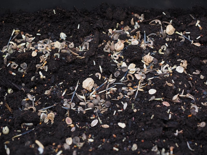 Soil Mixes