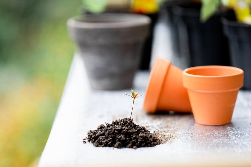 Gardening in containers